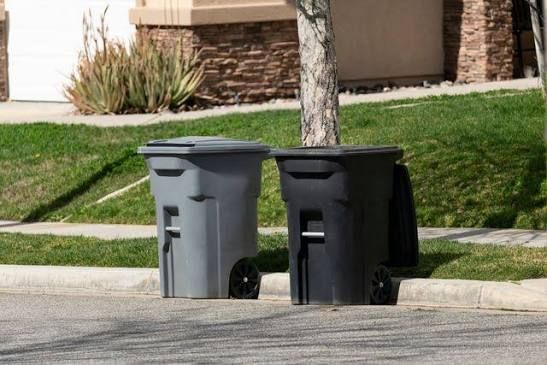 Curbside Bin Cleaning